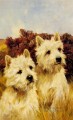 Jacque y Jean Champion Westhighland White Terriers animal Arthur Wardle perro